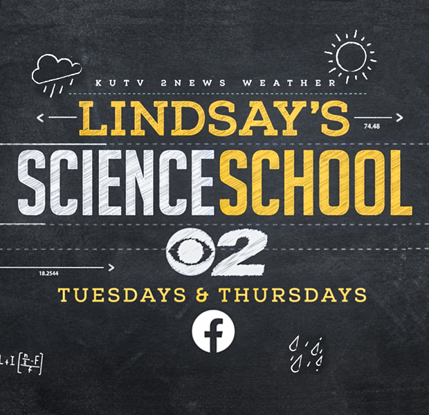 LINDSAY'S SCIENCE SCHOOL